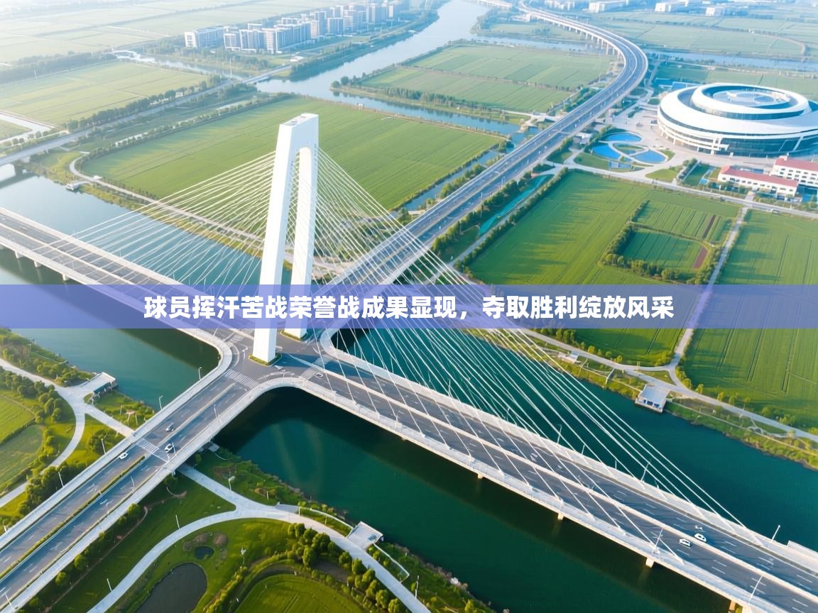 开云体育赛程表查询-球员挥汗苦战荣誉战成果显现,夺取胜利绽放风采  第2张