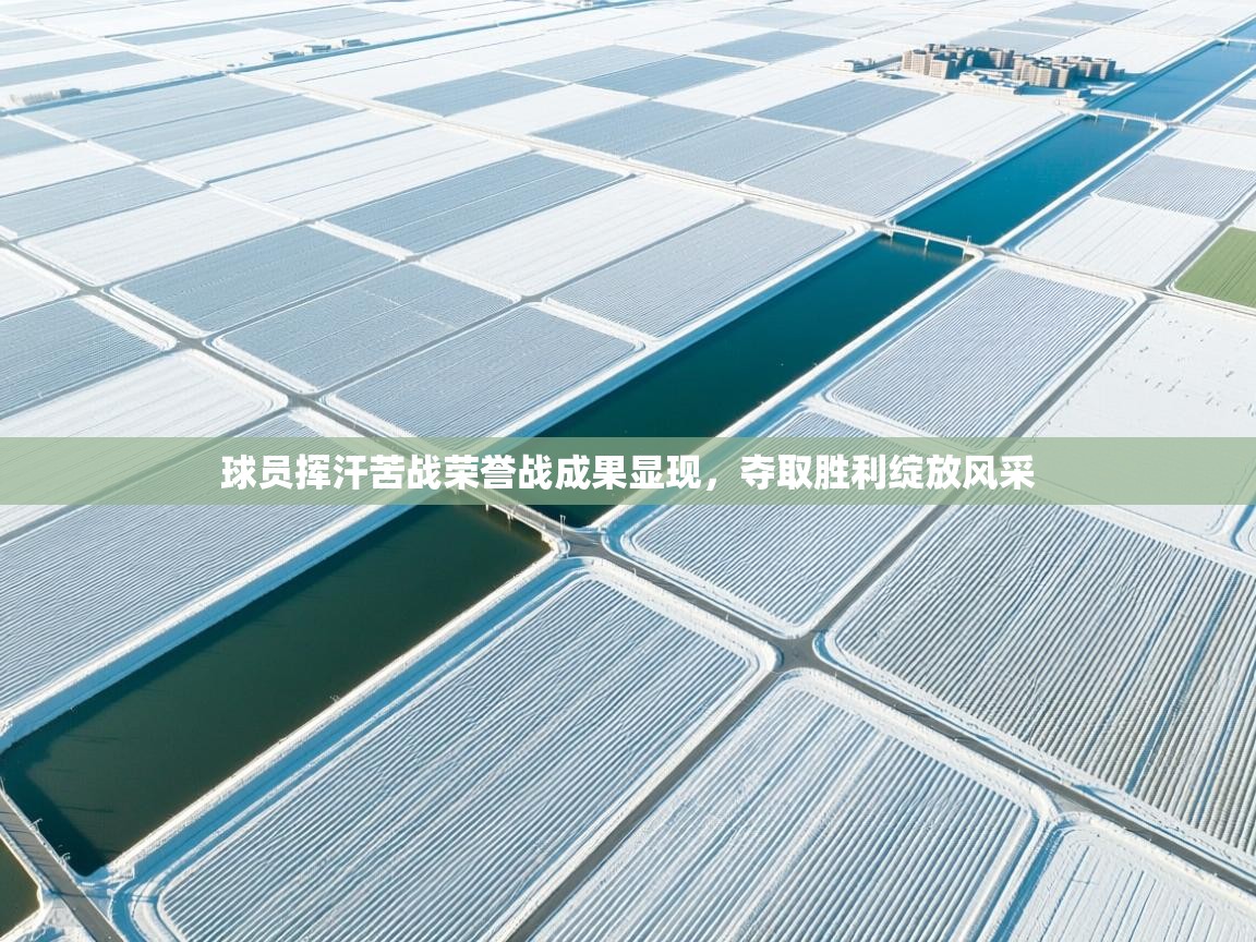 开云体育赛程表查询-球员挥汗苦战荣誉战成果显现,夺取胜利绽放风采  第4张