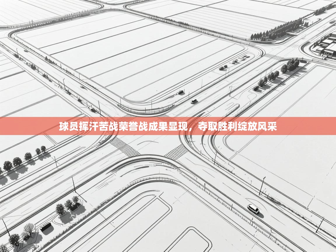 开云体育赛程表查询-球员挥汗苦战荣誉战成果显现,夺取胜利绽放风采  第3张