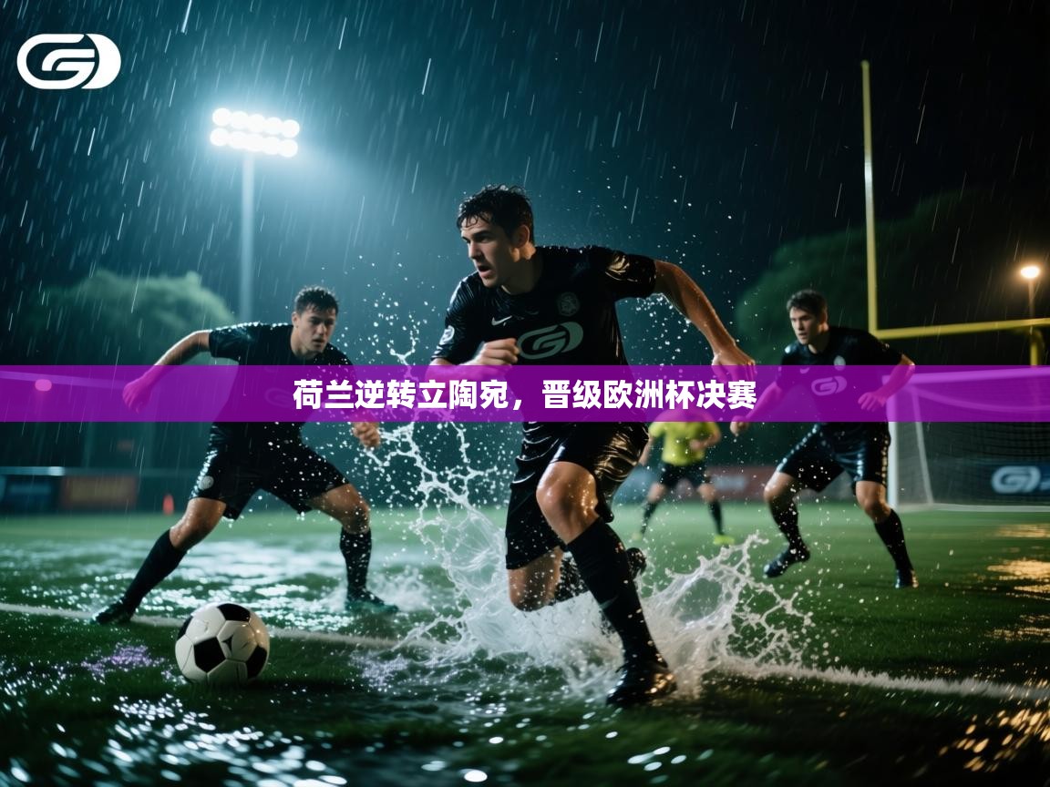 开云赛事-荷兰逆转立陶宛,晋级欧洲杯决赛 第1张