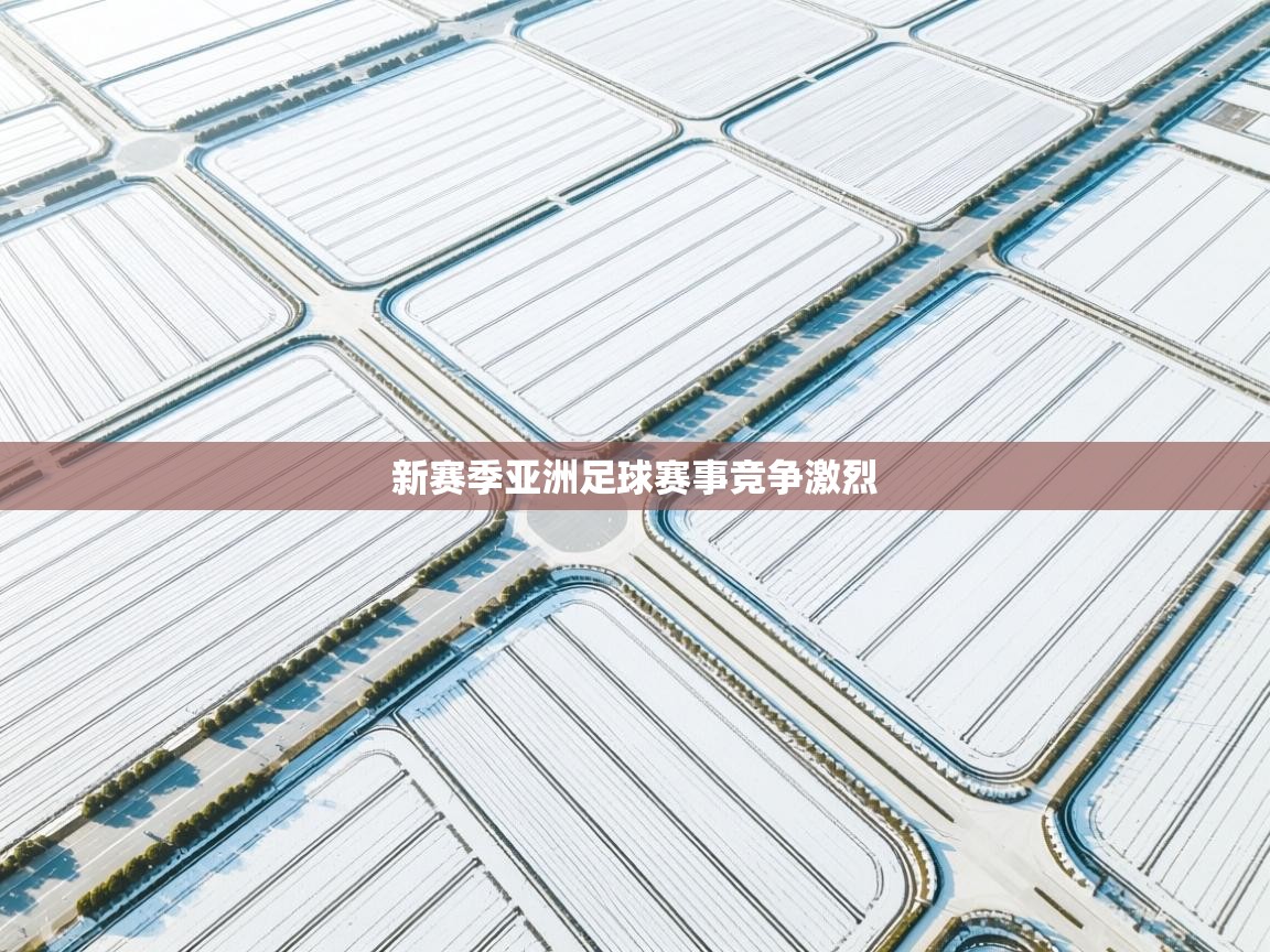 开云体育推送通知设置-新赛季亚洲足球赛事竞争激烈  第2张