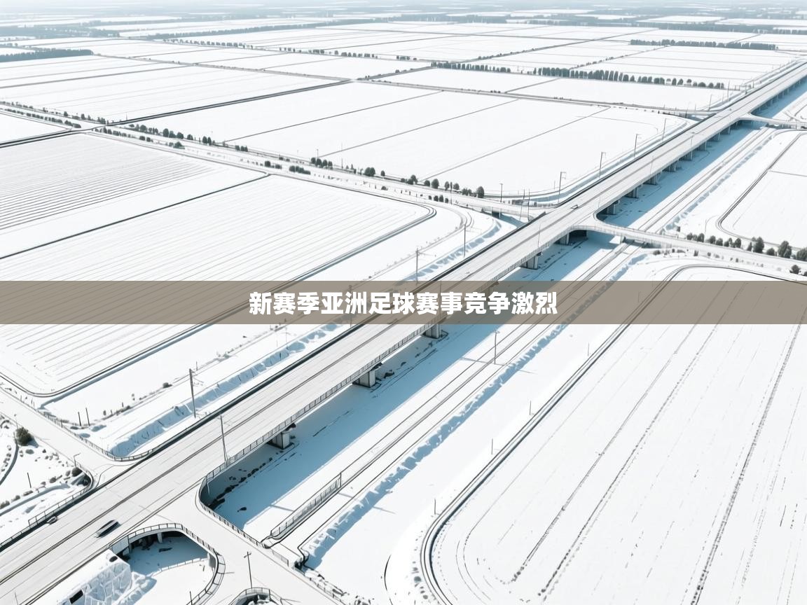 开云体育推送通知设置-新赛季亚洲足球赛事竞争激烈  第4张