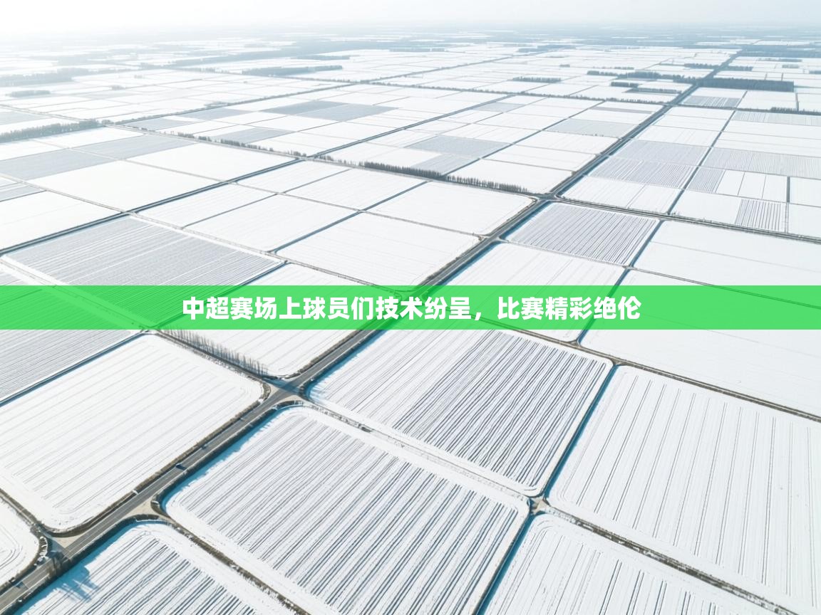 开云体育在线网址-中超赛场上球员们技术纷呈，比赛精彩绝伦