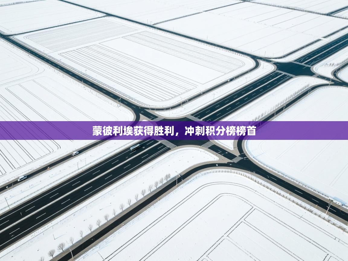 开云体育工单提交入口-蒙彼利埃获得胜利，冲刺积分榜榜首